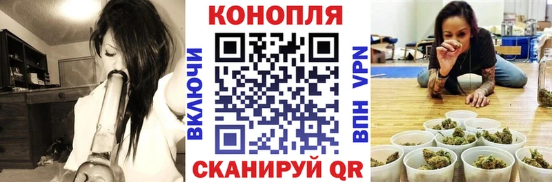 Бошки Шишки Ganja  Купить закладки  Колпашево 